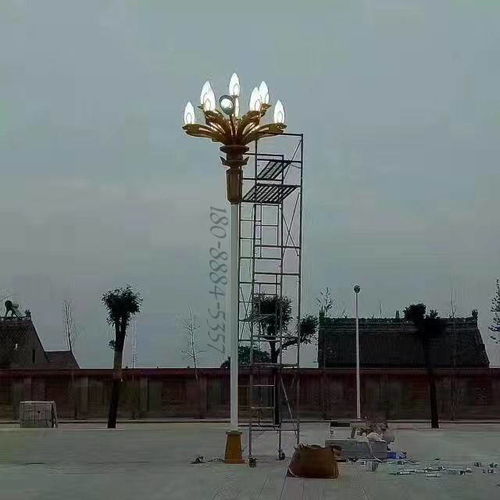 玉兰灯的广东源头厂家 高端产品，景观亮化必备